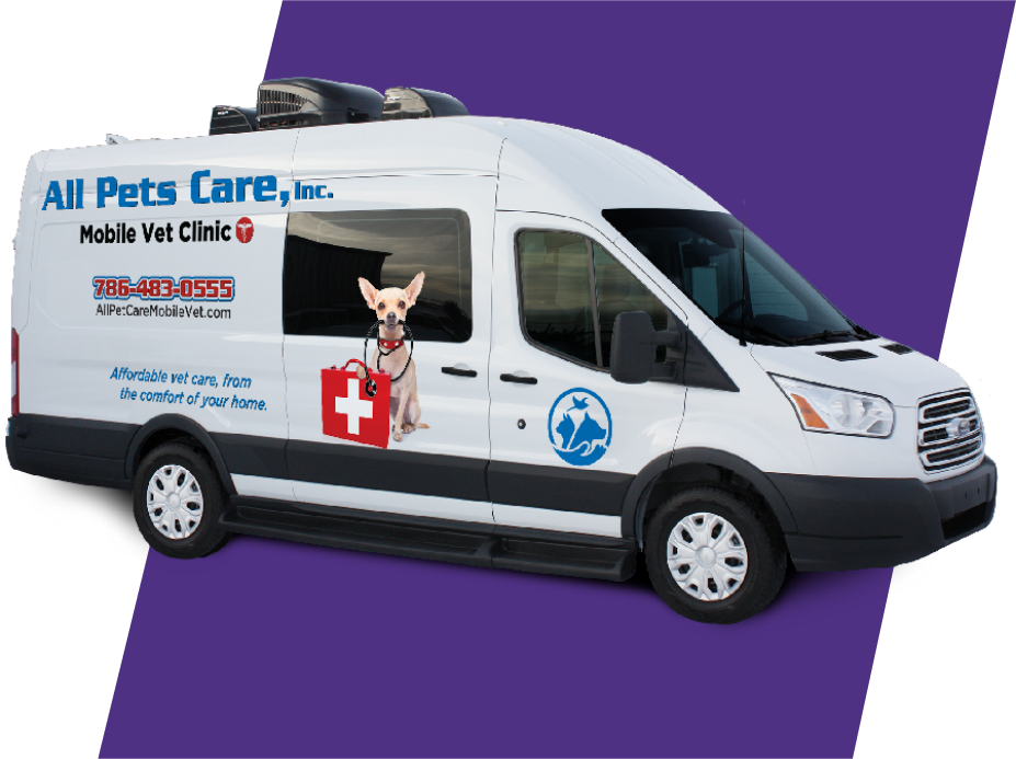 The Dyna, Mobile Pet Care Cargo Van