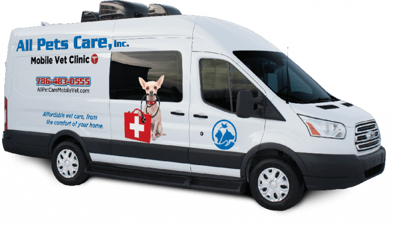 The Dyna, Mobile Pet Care Cargo Van | Wag'n Tails Mobile Vet Clinics