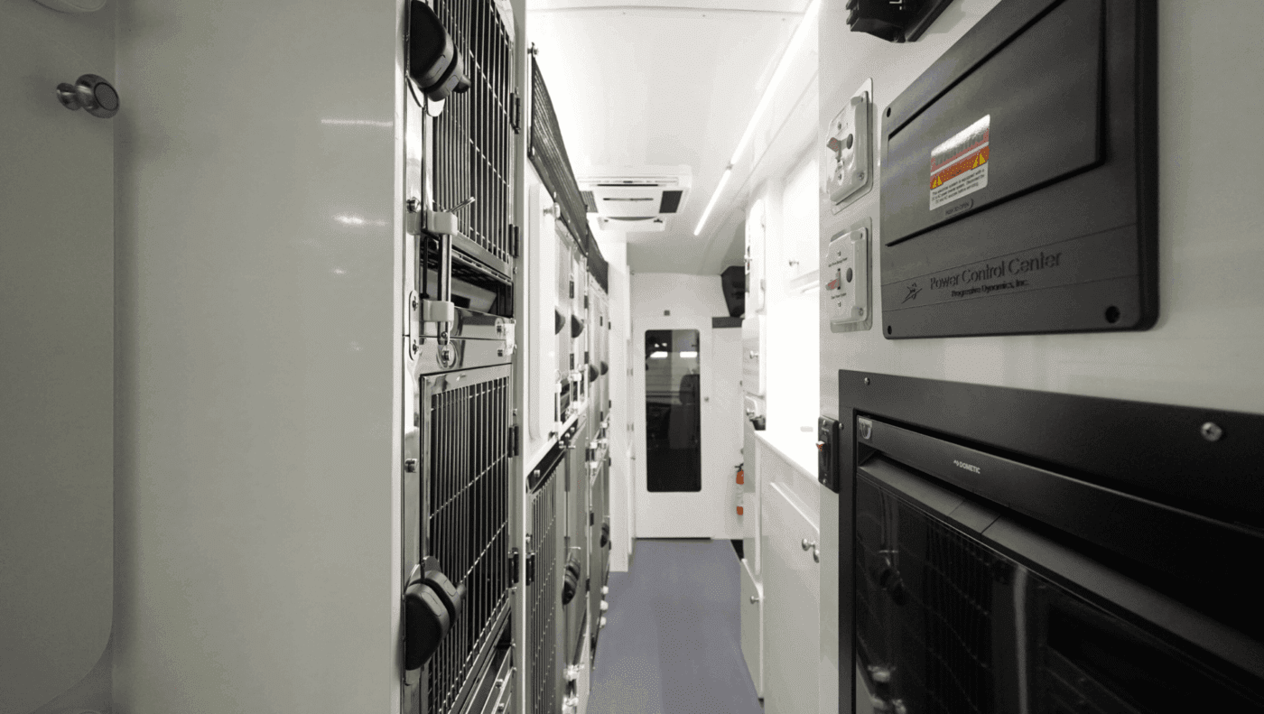 Back view of pet transport van